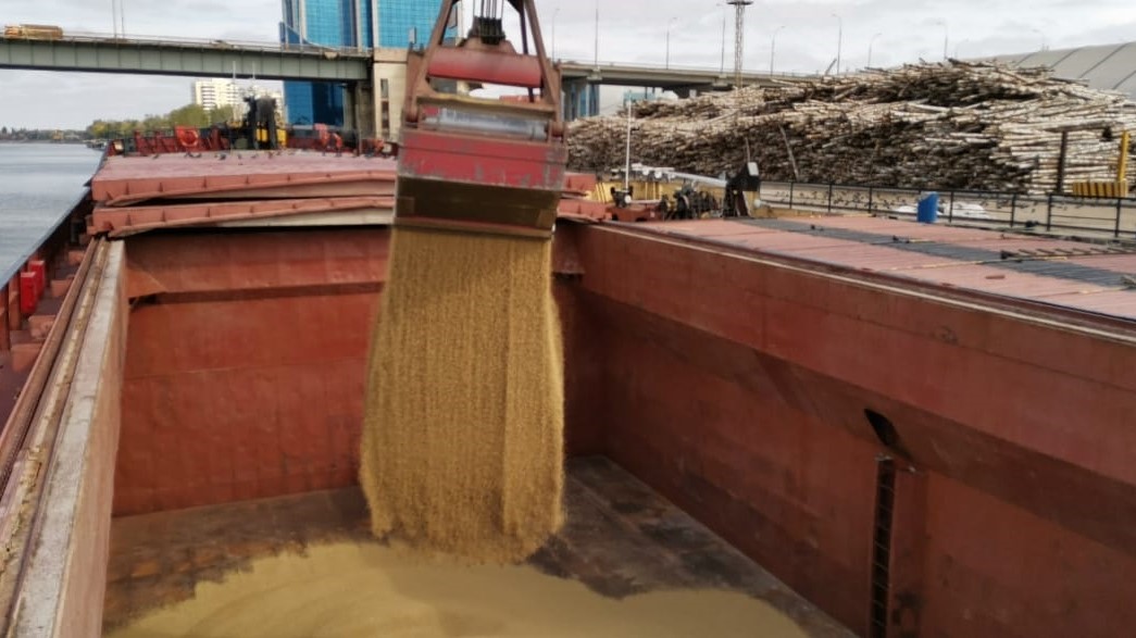 Grain being loaded onto a bulk vessel